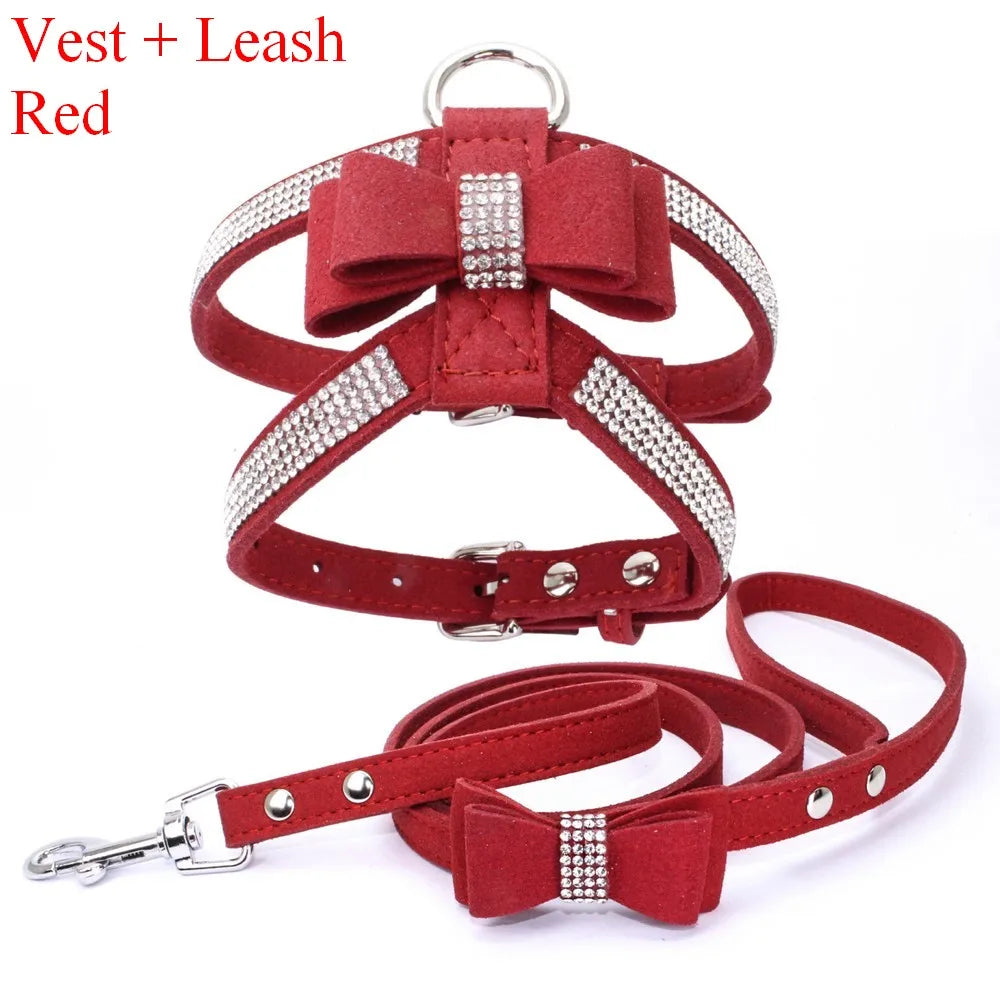 Tuigje hond met reflecterende stiksels – Extra veiligheid
