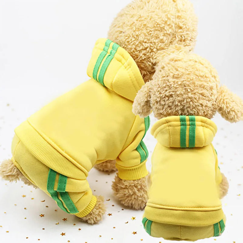 Cadeau hond gepersonaliseerd – Met liefde gekozen