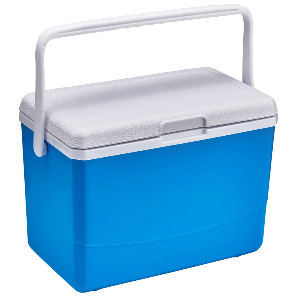 Action kleine koelbox β Voor lunch en snacks