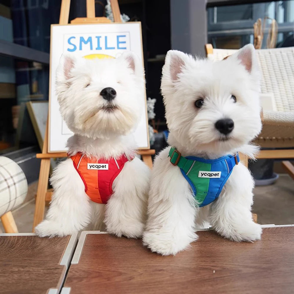 Honden tuigje – Voor veilige en comfortabele uitjes