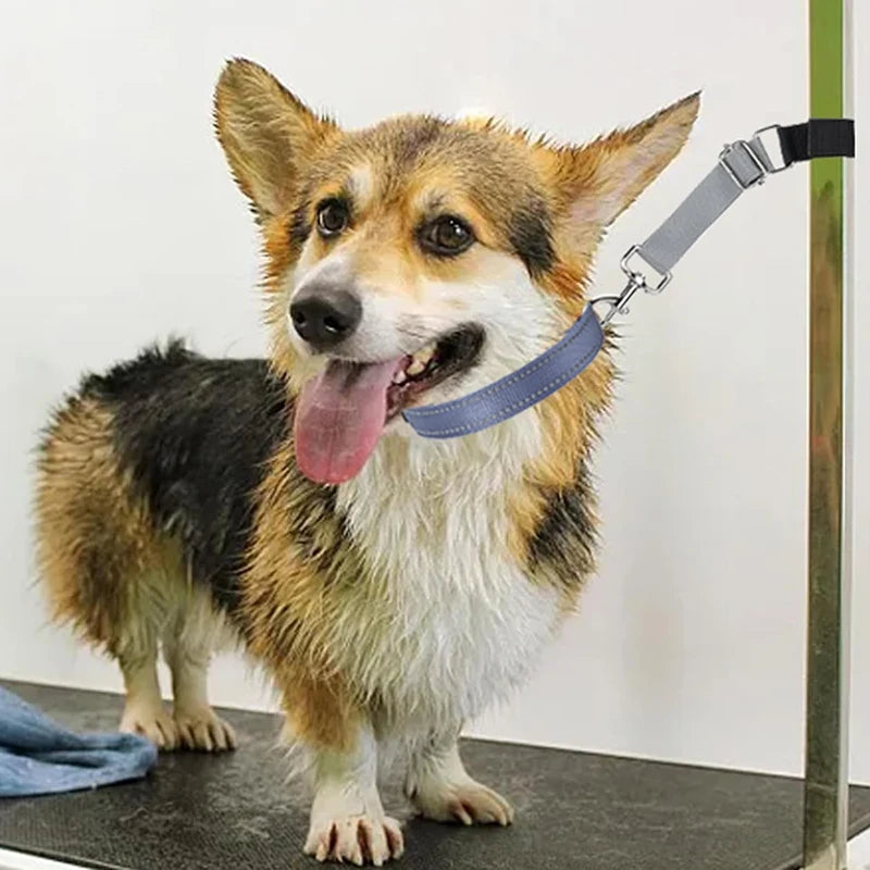 Tuigje hond met ruime borstplaat – Goede drukverdeling
