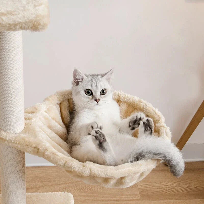 Action kattenmand in basic stijl β Comfort voor elke kat
