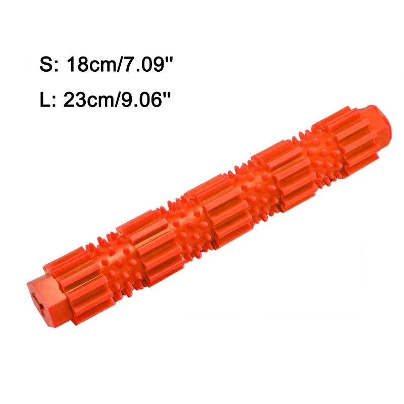 Speelgoed cadeau voor hond – Actief en leuk