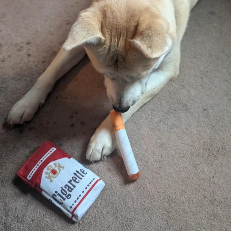 Origineel cadeau hond verjaardag β Creatief en uniek
