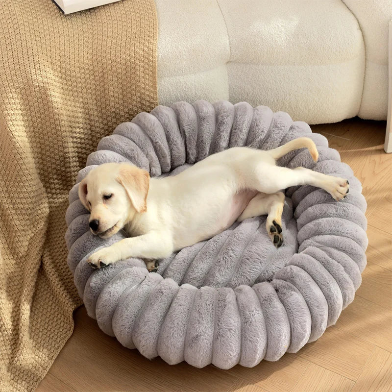Action mand voor kleine hond – Goedkoop en handig