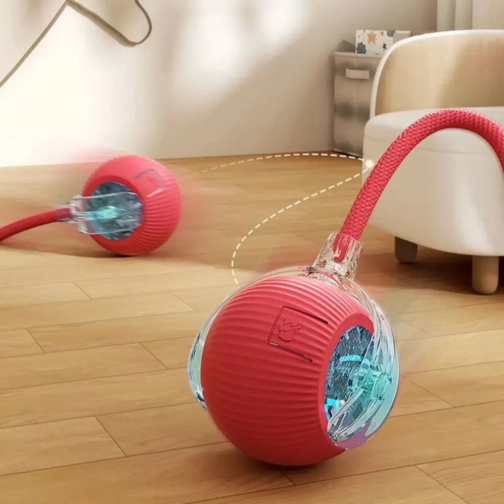 Kattenspeeltjes met veren en balletjes – Multifun