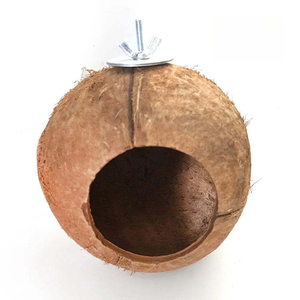 Action vogelhuisje met kleur – Speels en vrolijk