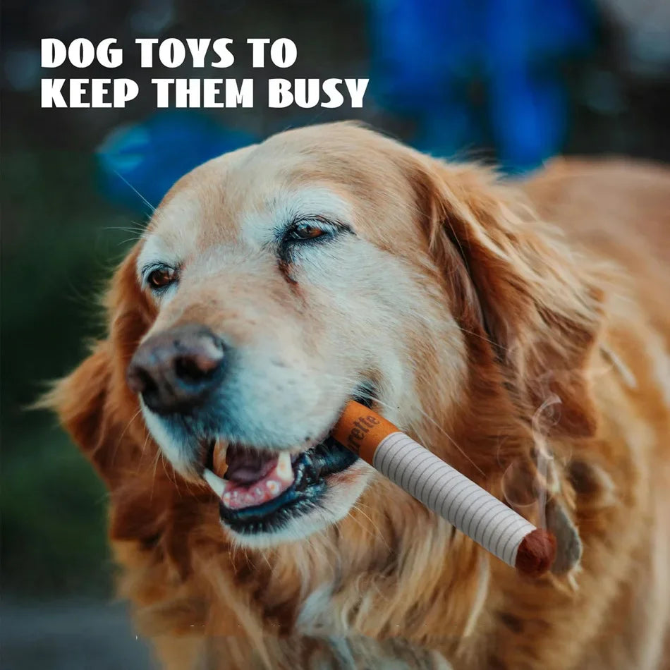 Cadeau hond met naam β Gepersonaliseerd en uniek