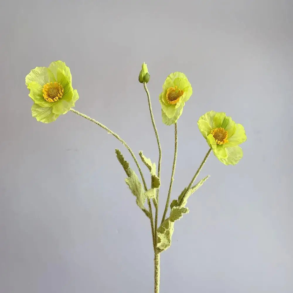 Tuinposter als unieke tuindecoratie