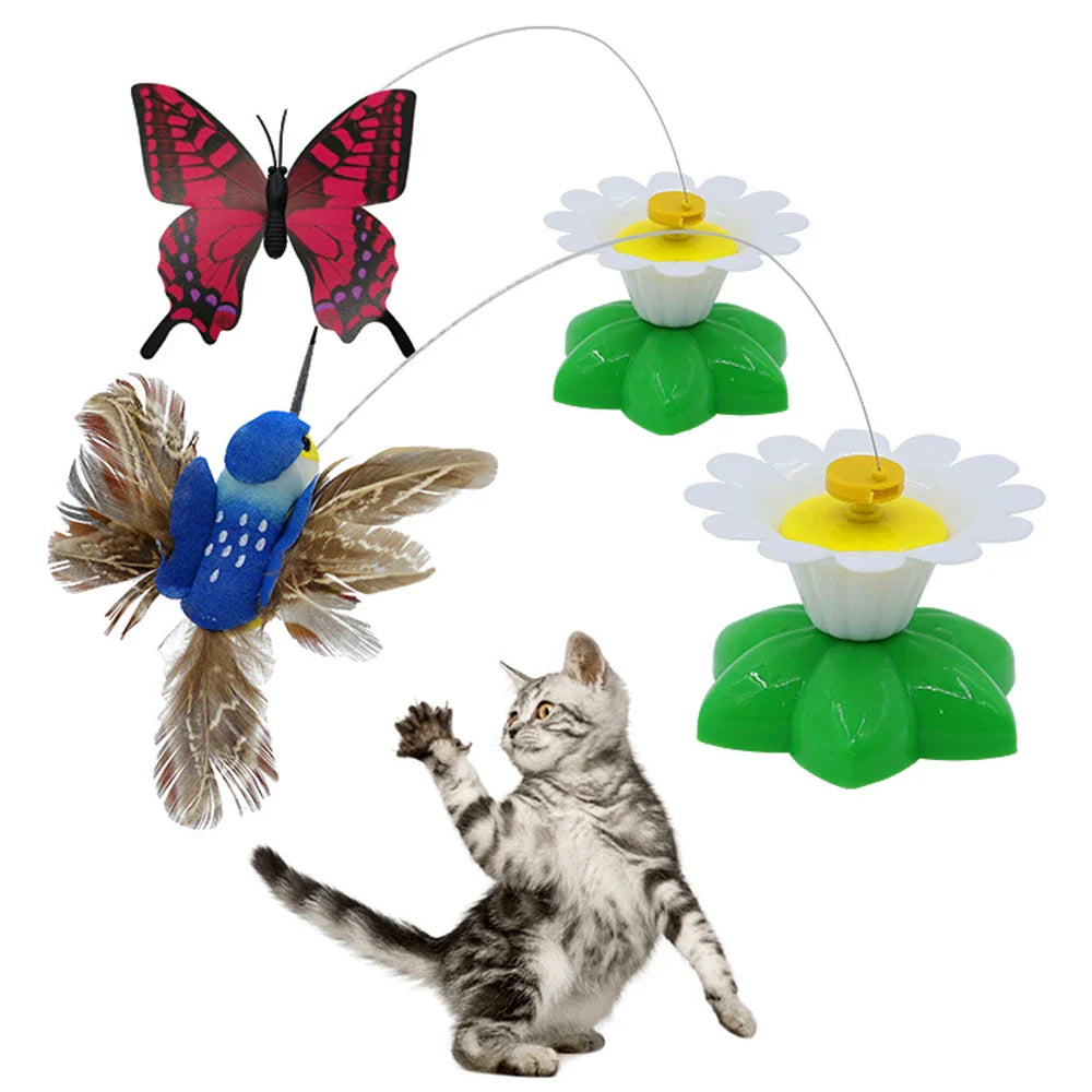 Kattenspeeltje met verenstaart β Voor eindeloos jagen