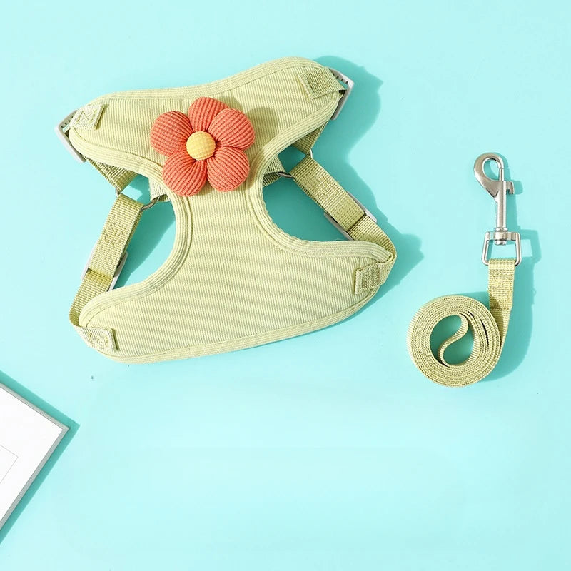 Tuigje voor sportieve honden – Flexibel en licht