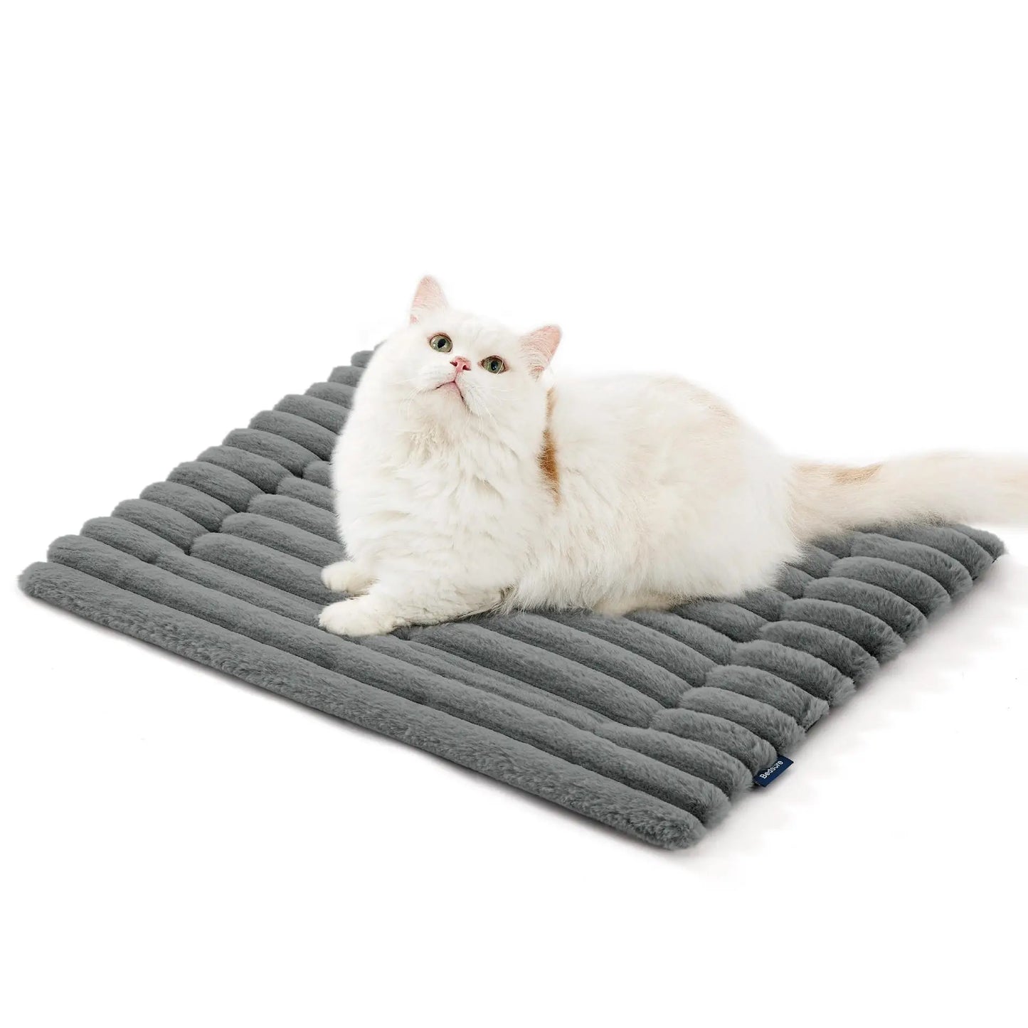 Kattenmand voor grote kat – Extra ruim ontwerp