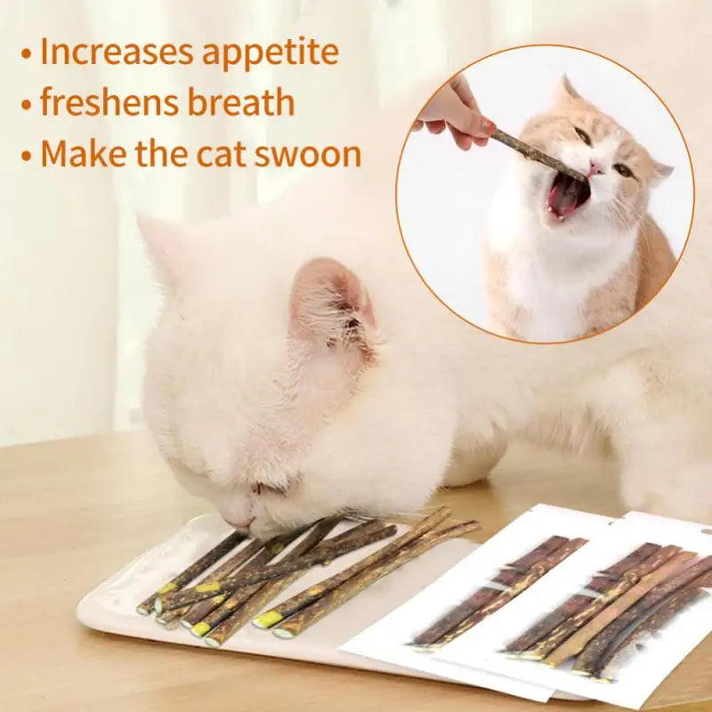 Leuk kattenspeeltje voor jachttraining β Slim en actief