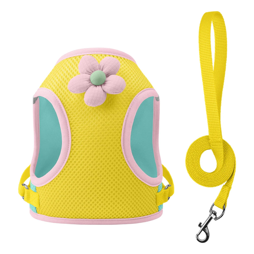 Action tuigje met brede banden – Voor sterke honden