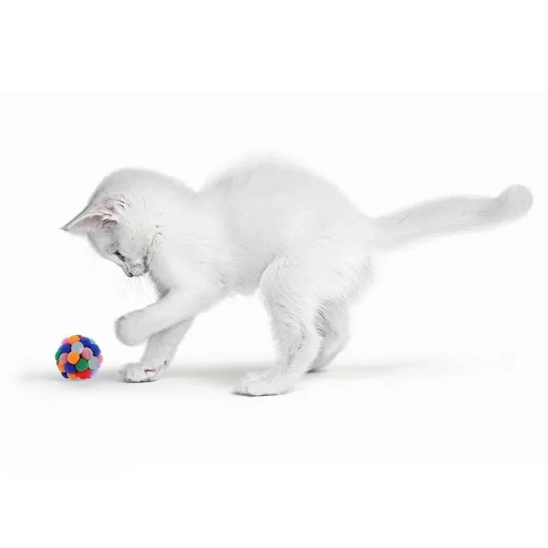 Kattenspeeltje met zuignap – Blijft stevig op zijn plek