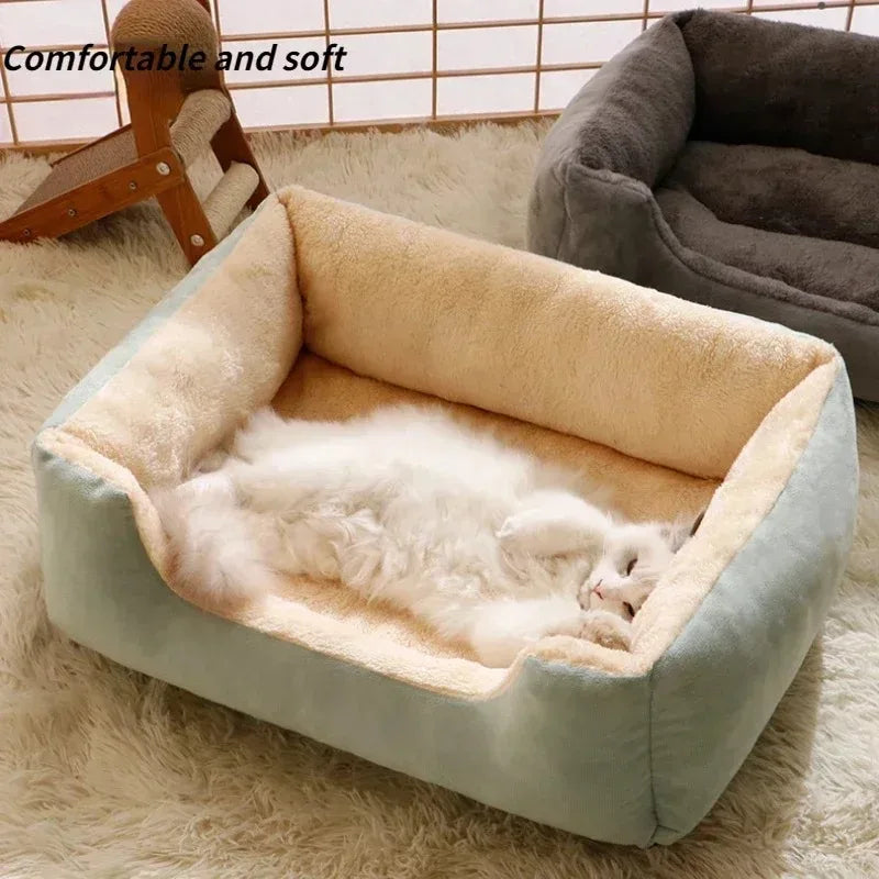 Cadeau hond feestpakket – Voor een echte party animal