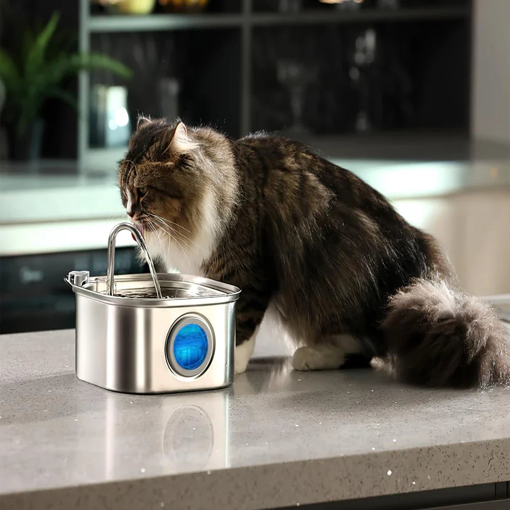 Automatische waterfontein met filter – Voor dagelijks gemak