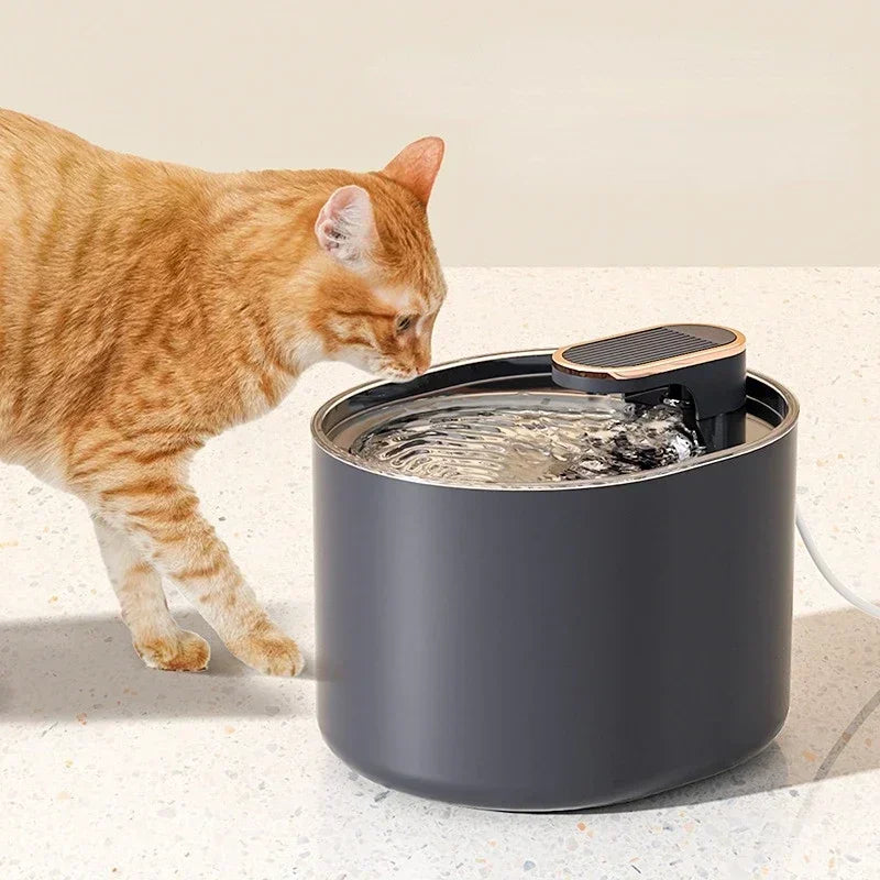 Stille drinkfontein kat – Bevordert gezondheid
