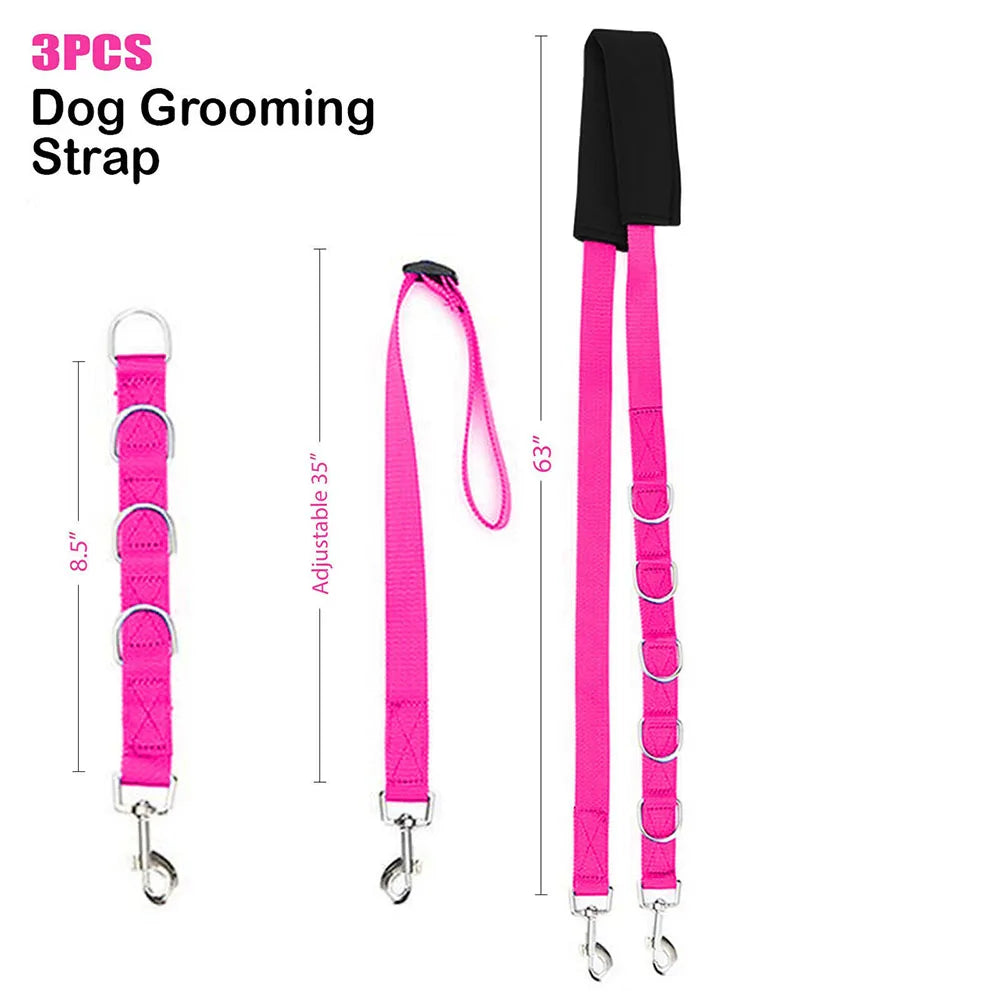 Tuigje hond met minimalistisch design – Licht en effectief