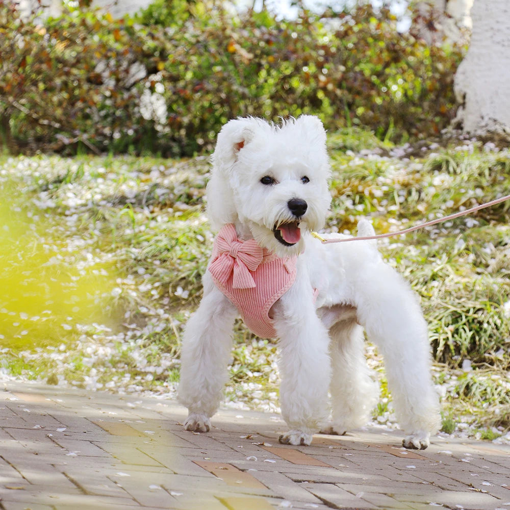 Reflecterend honden tuigje – Voor zichtbaarheid in het donker