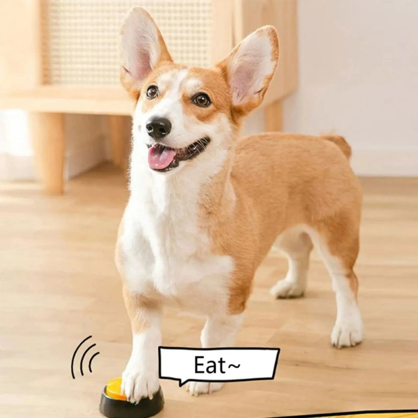 Cadeau hond met speeltjes – Spelen, bijten, genieten