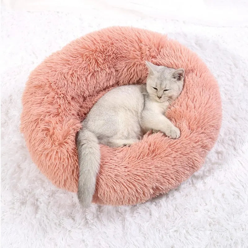 Welkoop mand voor middelgrote hond – Comfort en pasvorm