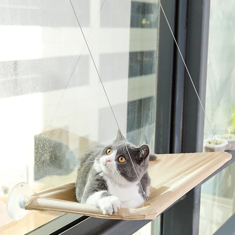 Grote kattenpaal – Voor klimmen, krabben en relaxen