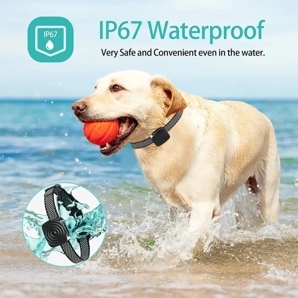 Cadeau hond pup β Veilig en zacht speelgoed