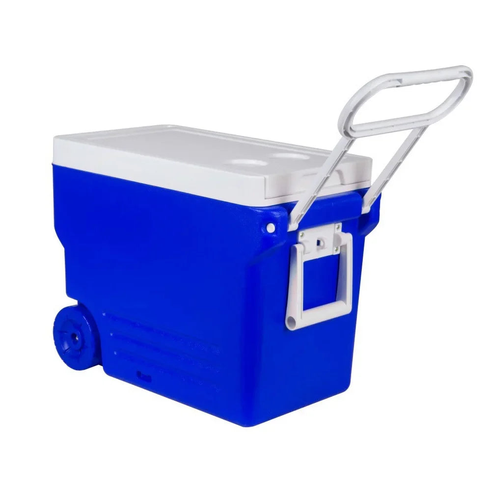 Lidl koelbox met draagband