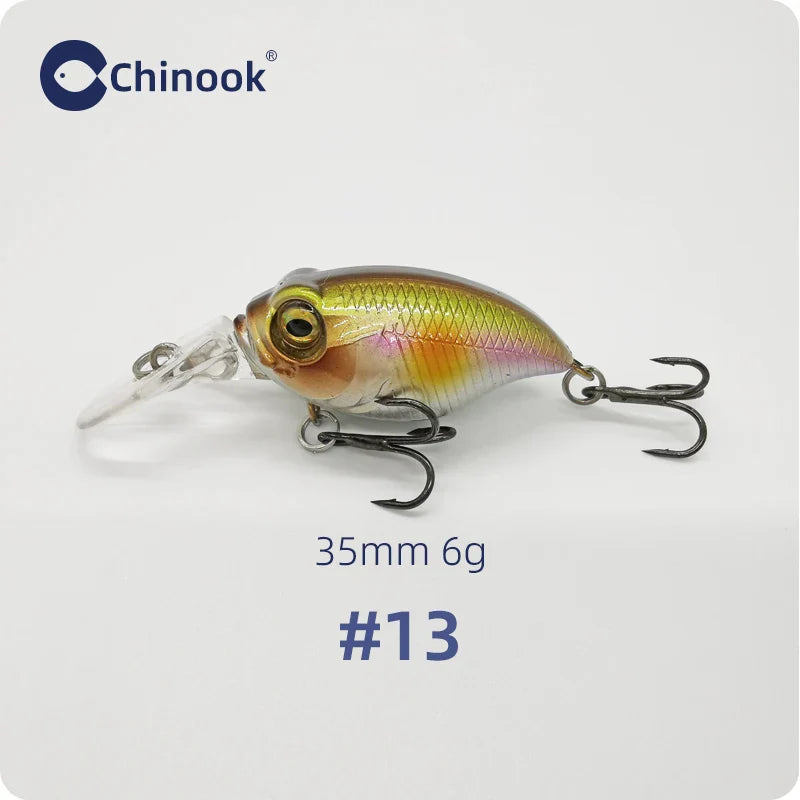 Realistisch kunstaas in visvorm voor roofvissen