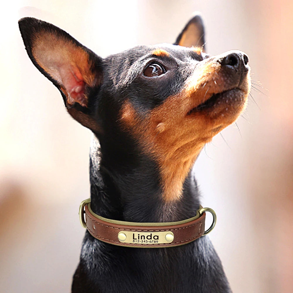 Cadeaupakket hond met speeltouw – Voor uren speelplezier