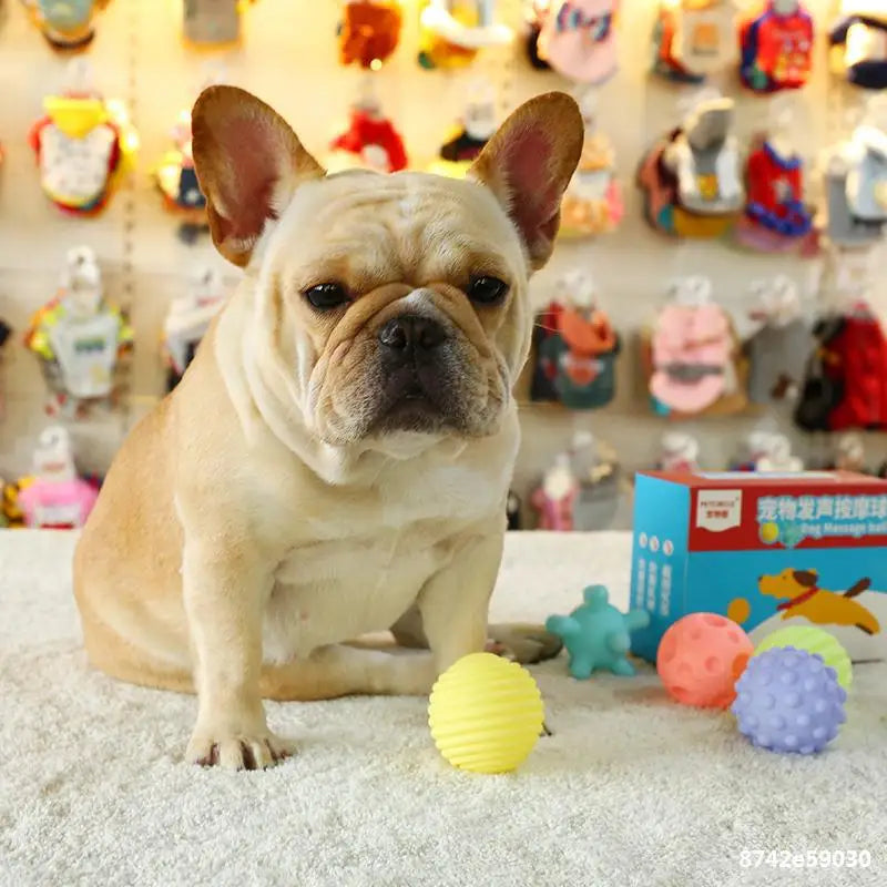 Cadeauset hond verjaardag – Spelen en knabbelen