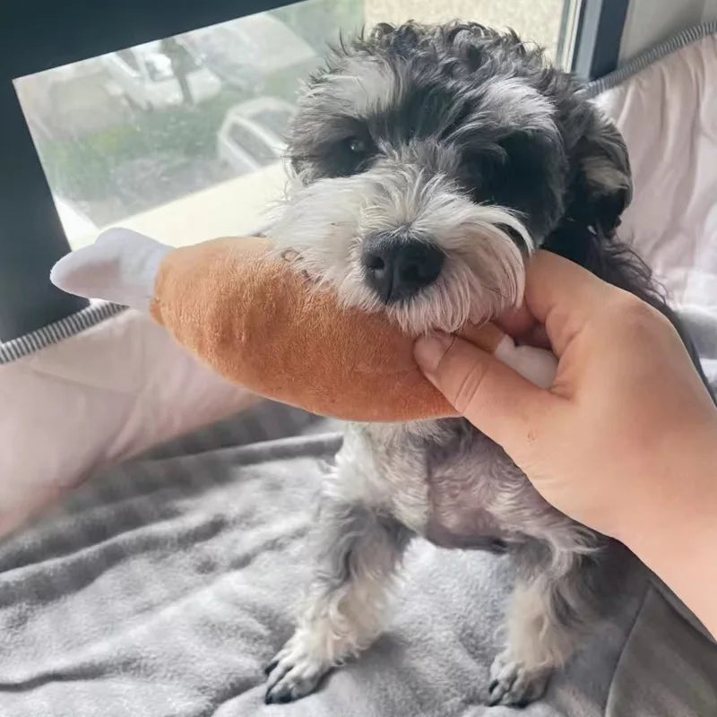 Cadeau voor hond eerste verjaardag – Een blijvende herinnering