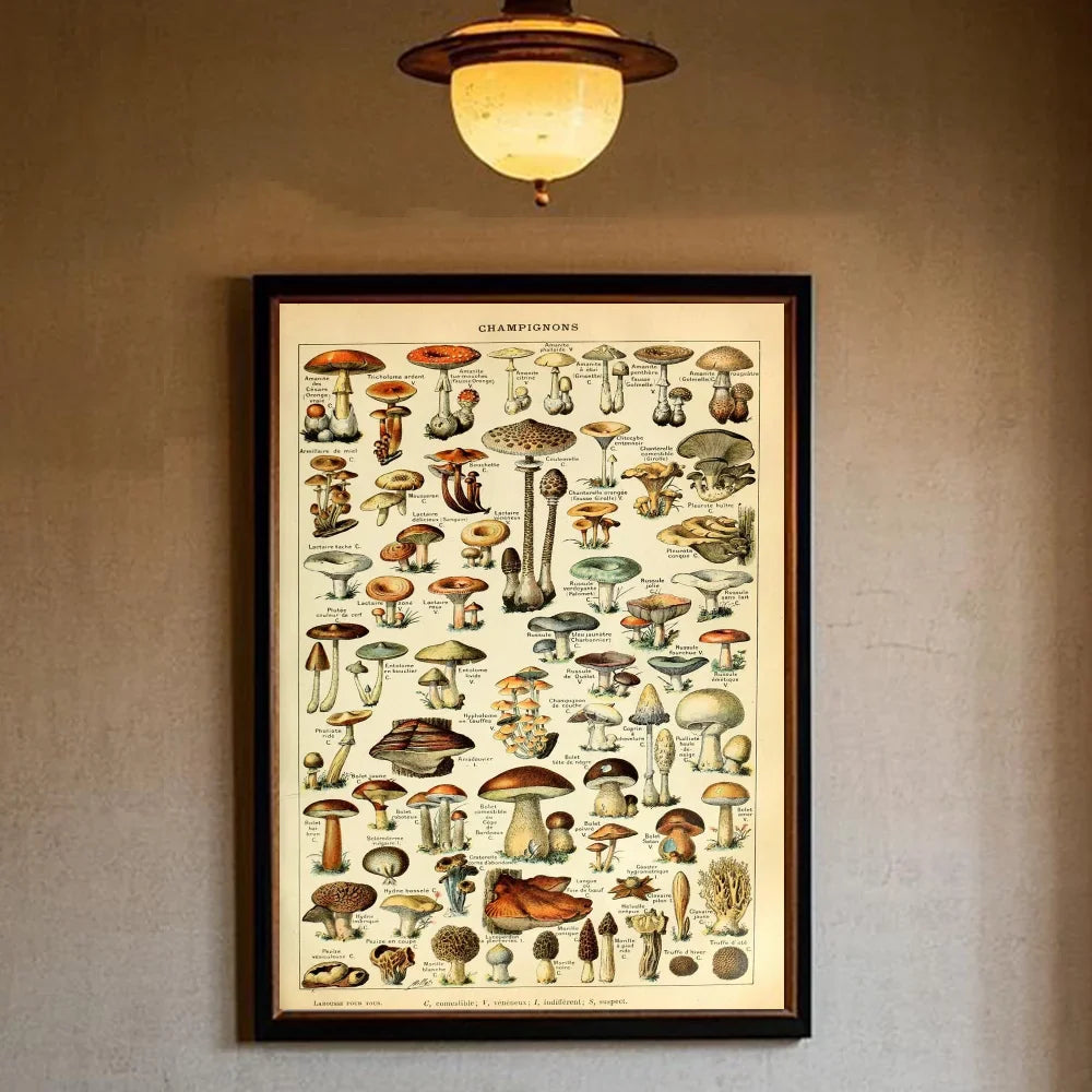 Posterset kopen voor een complete muur