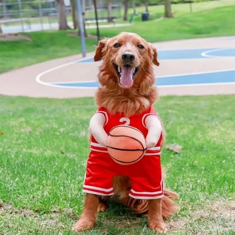 Feestpakket hond verjaardag β Alles voor een feestje