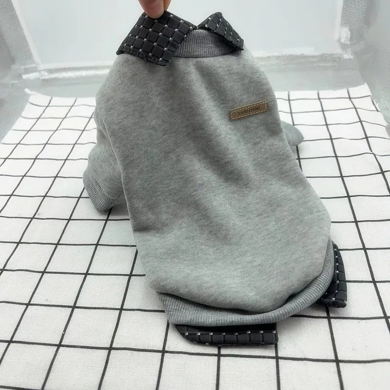 Cadeauset hond verjaardag β Spelen en knabbelen