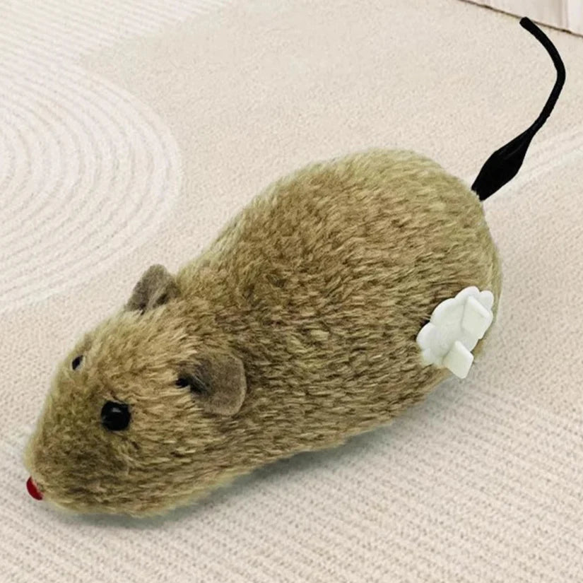 Kattenspeeltje met kralen en veren – Licht en kleurrijk