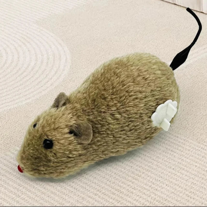 Action katten speeltjes set – Vol variatie