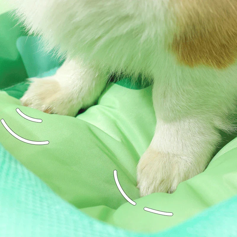 Kattenmand met opstaande rand – Voor extra geborgenheid