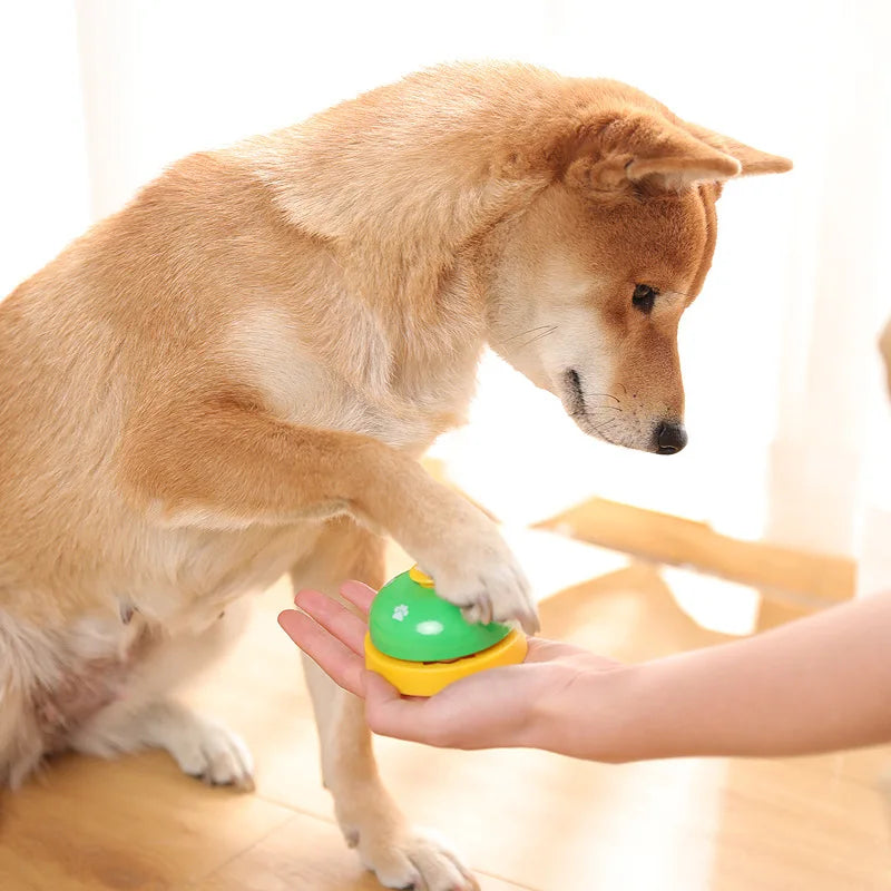 Origineel cadeau hond verjaardag – Creatief en uniek