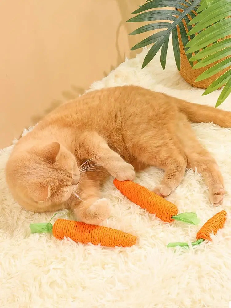 Katten speelgoed met licht β Voor nachtelijke jacht