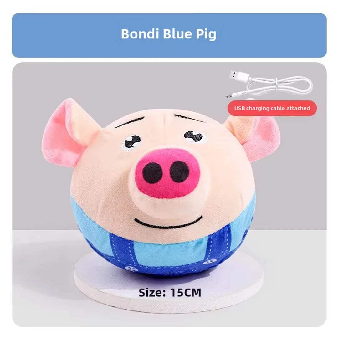 Cadeautasje hond – Vol leuke verrassingen