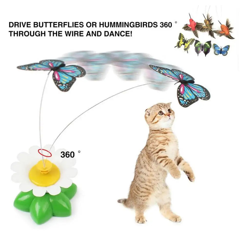 Katten speeltjes met ophangsysteem β Blijft interessant