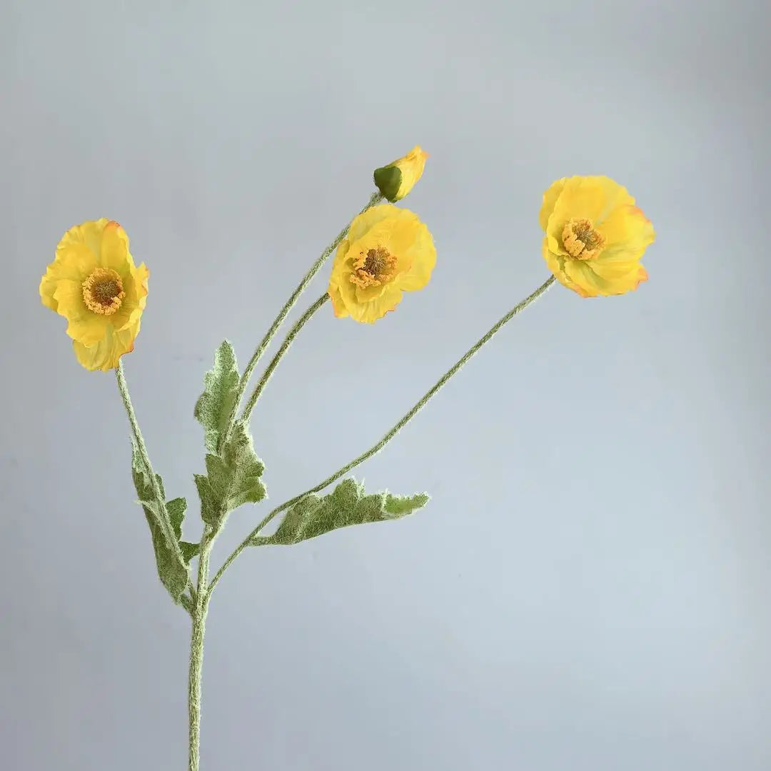 Plantenstandaard als decoratieve tuindecoratie