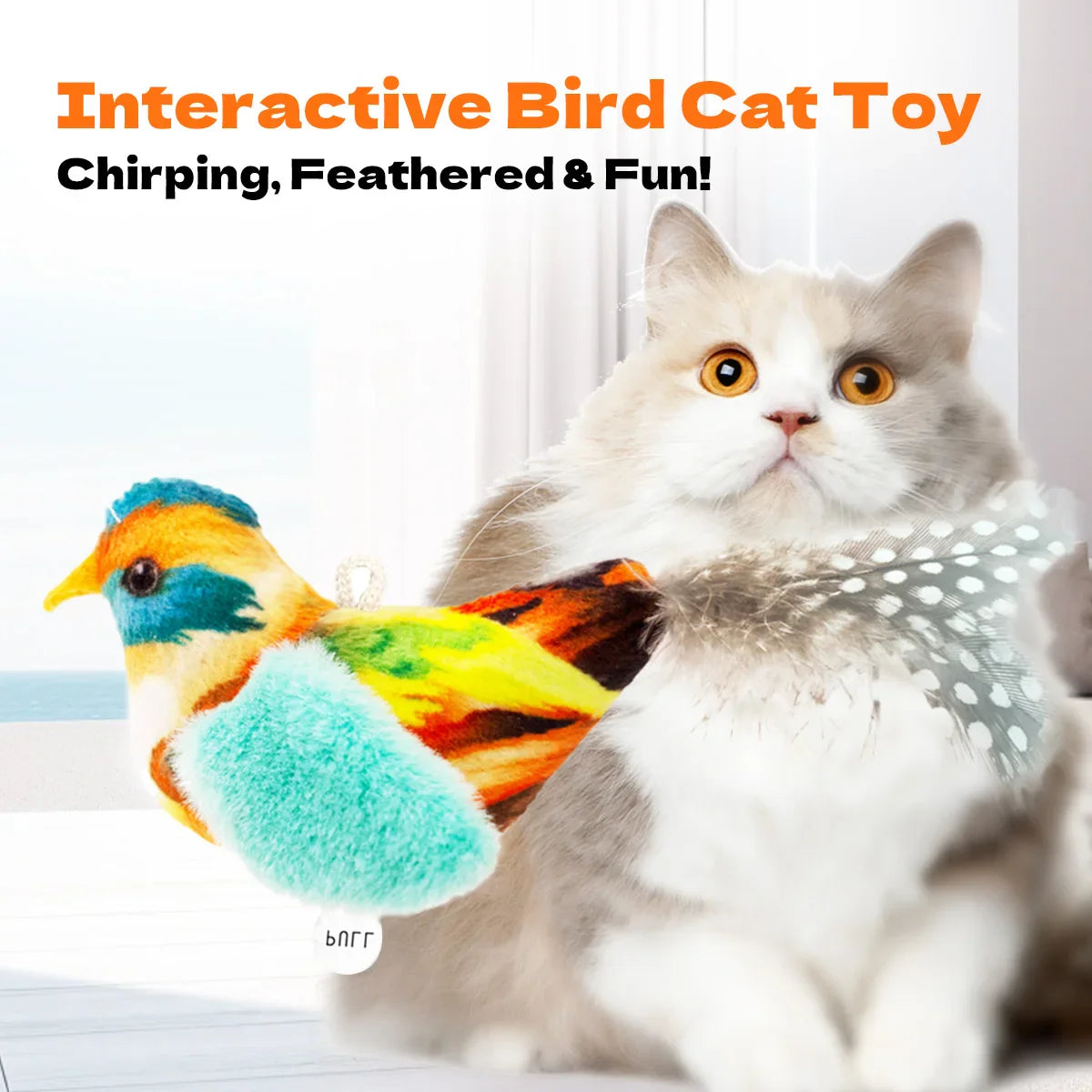 Katten speeltjes met catnip en veer – Dubbel plezier