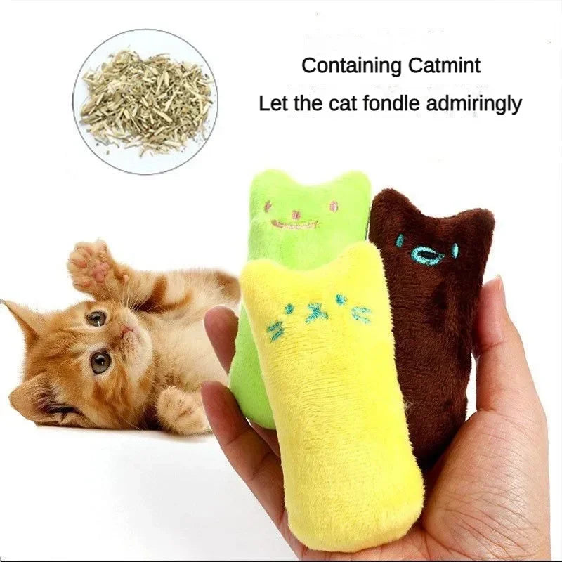 Action kattenspeelgoed in felle kleuren β Valt goed op
