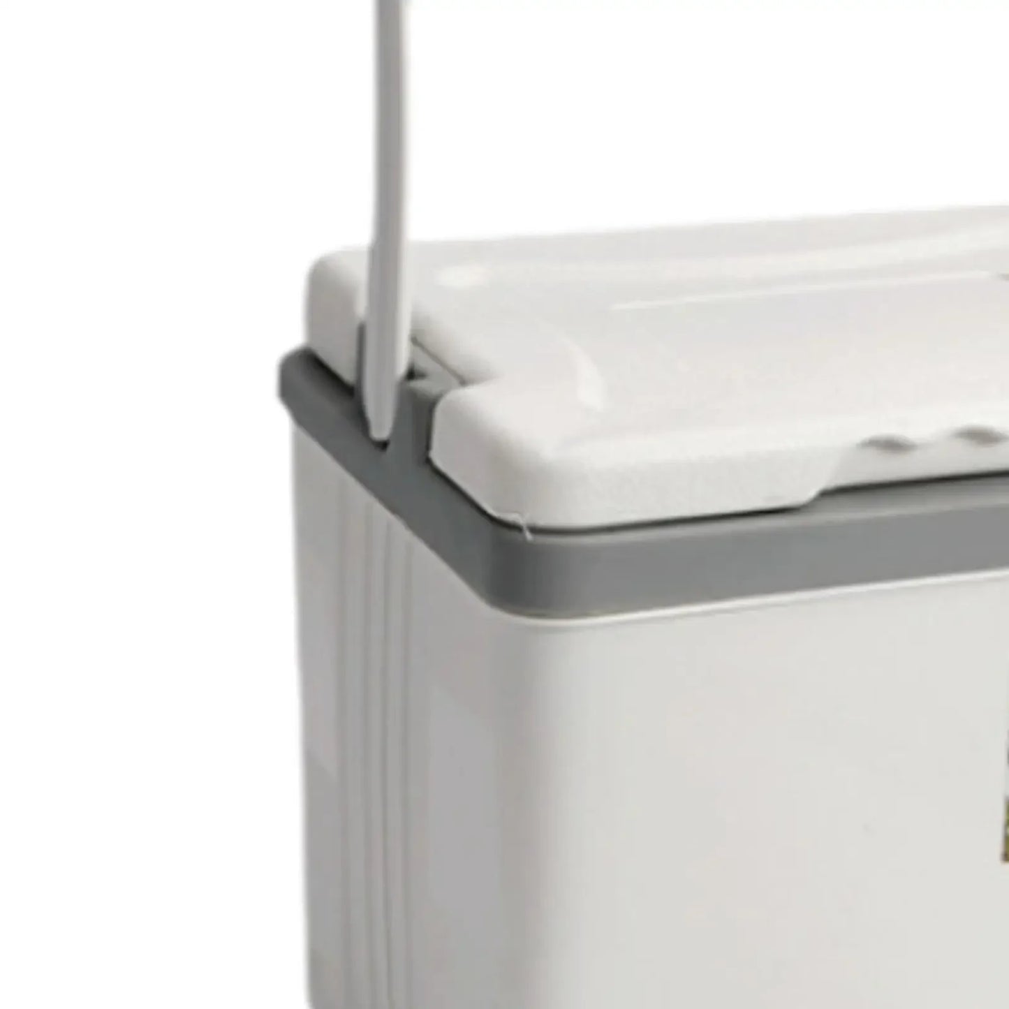 Campingaz elektrische koelbox – Ook geschikt voor 230V
