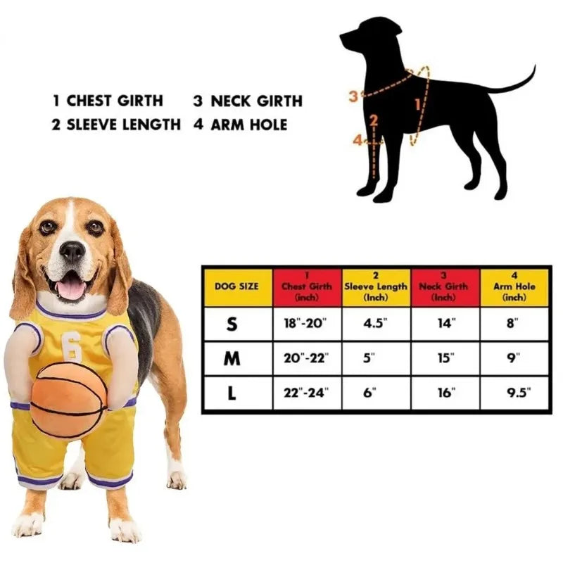 Speelgoed cadeau voor hond β Actief en leuk