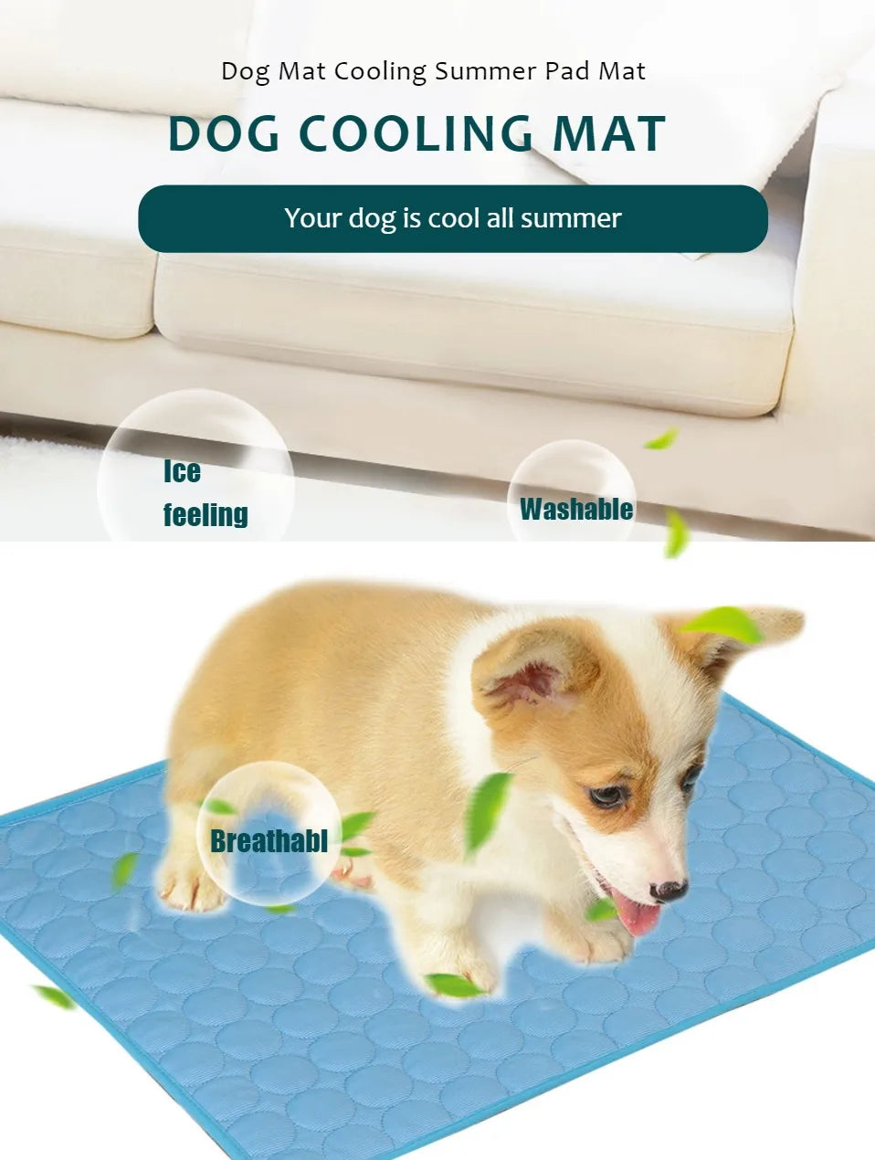 Traktatiebox hond cadeau – Verantwoord en lekker