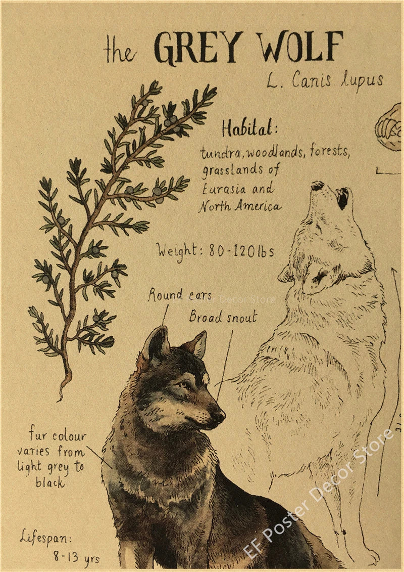 Woonkamer poster met rustgevende kleuren
